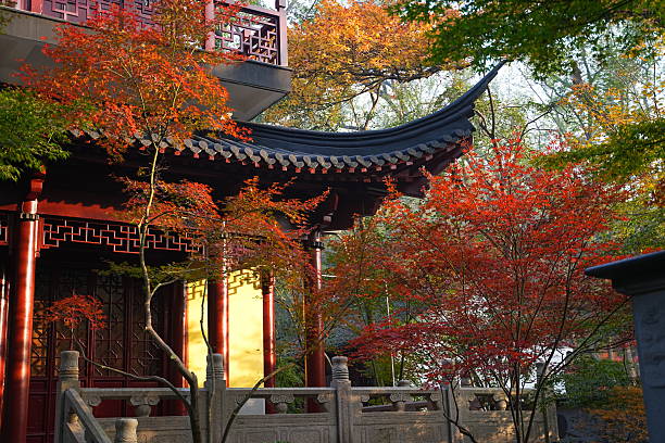 istock Maple leaves in Nanjing 2234851010
