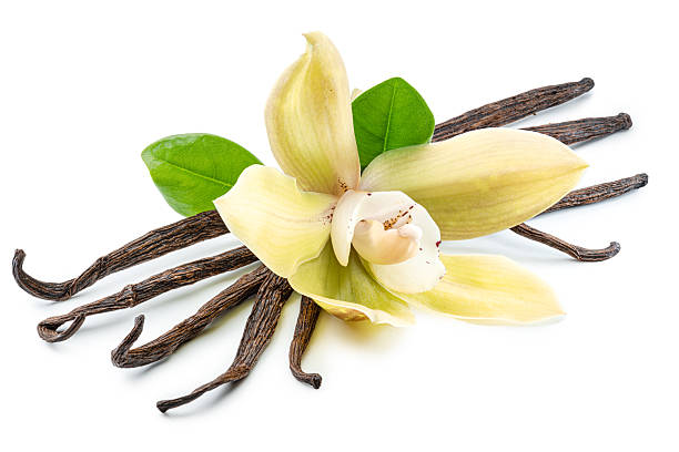 istock Yellow moth orchid flower and vanilla sticks on white background. File contains clipping path. 2234851272