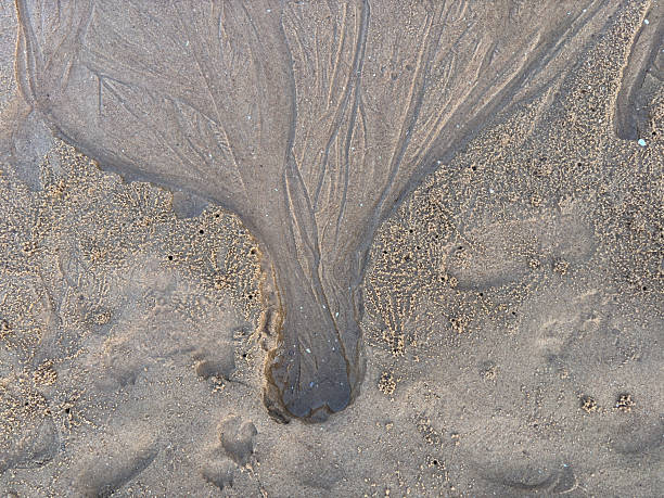 istock Texture of sand due to sea wave 2234851451