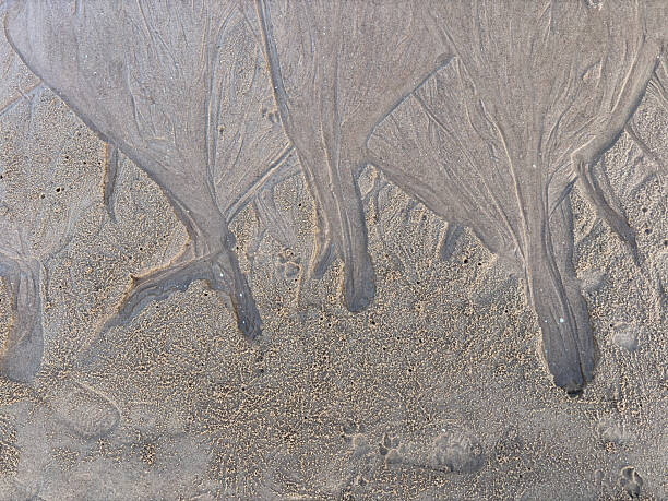 Texture of sand due to sea wave