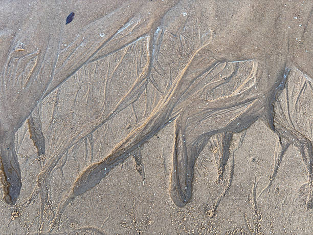 istock Texture of sand due to sea wave 2234851562
