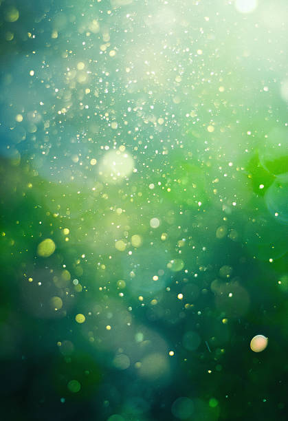 Green bokeh background with floating light particles, natural atmosphere, organic lighting effects, forest ambiance