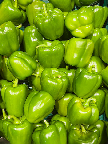 Green bell pepper vegetable background.