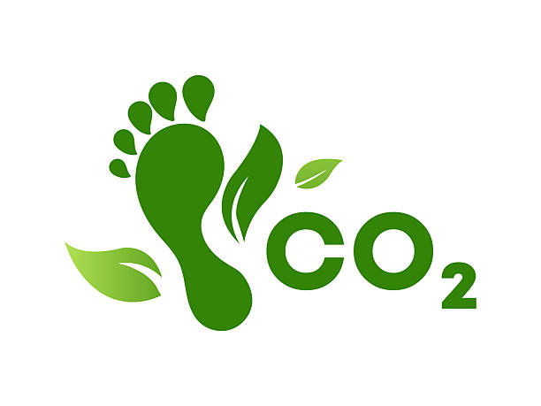 istock EcoFriendly Footprint Carbon Footprint Reduction symbol Design 2234857906