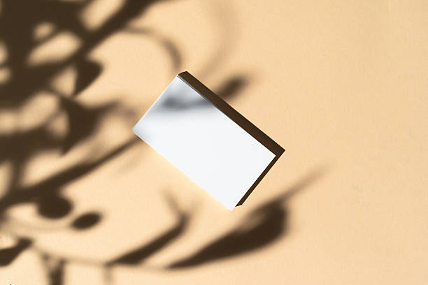 istock Blank white businesscard on beige background with creative floral shadow 2234858047