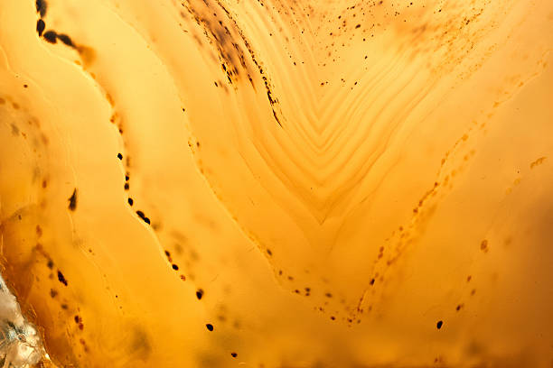 Close-up view of a honeycomb filled with golden honey droplets, showcasing a vibrant and organic texture. Ideal for culinary and health-focused projects.