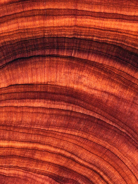 istock Full frame shot of wooden floor 2234863415