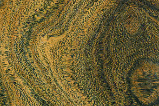 The wood is nature green and light brown color with layers and lines like a abstractive pattern. It's from Paraguay in South America, called Palo Santo or Lignum Vitae (Argentine) Wood. High angle view of a flat textured wooden board backgrounds. It has a beautiful and nature hardwood. A close-up studio shooting shows details and lots of wood grain on the wood table. The piece of wood at the surface of the table also appears rich wooden material on it, shows elegant and soft textured. Flat lay style. It's high-resolution textured quality.