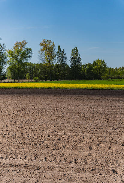 istock A rural landscape with a plowed empty field at the beginning of spring 2234869135