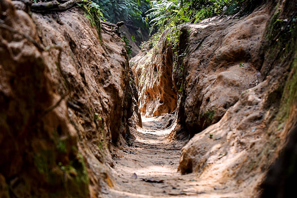 A narrow dirt path weaves through unique, steep cliffs, adorned with green vegetation, evoking a serene and adventurous natural setting. Perfect for hiking enthusiasts and lovers of natural landscapes.