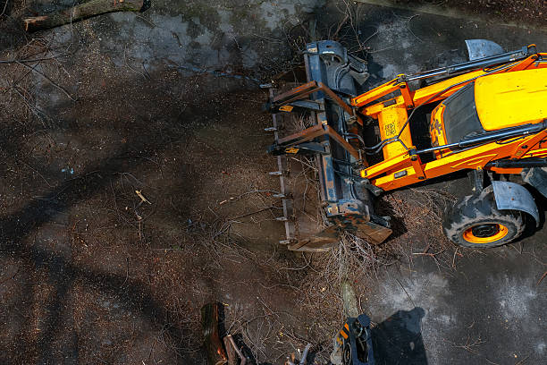 A bulldozer collects branches after pruning trees. View from above.