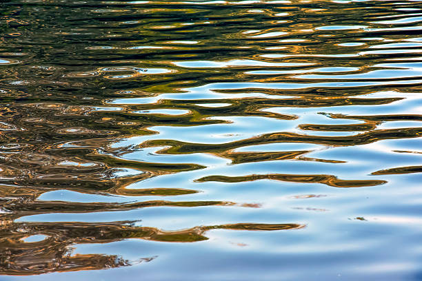 istock Water ripple texture background. Wavy water surface during sunset, golden light reflecting in the water 2234871020