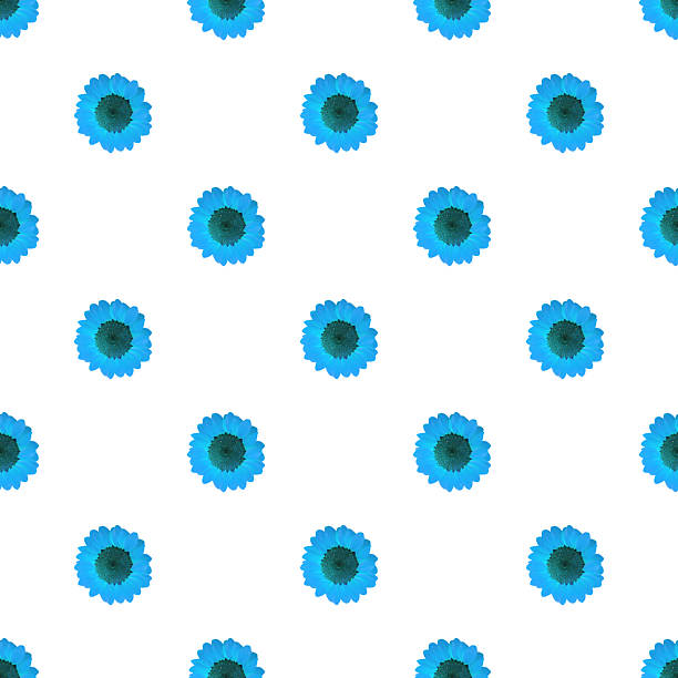 Seamless Pattern of Azure Sunflowers Isolated on White Background