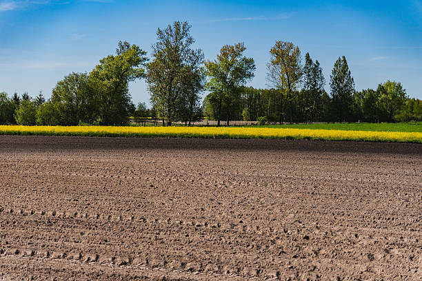 istock A rural landscape with a plowed empty field at the beginning of spring 2234872832