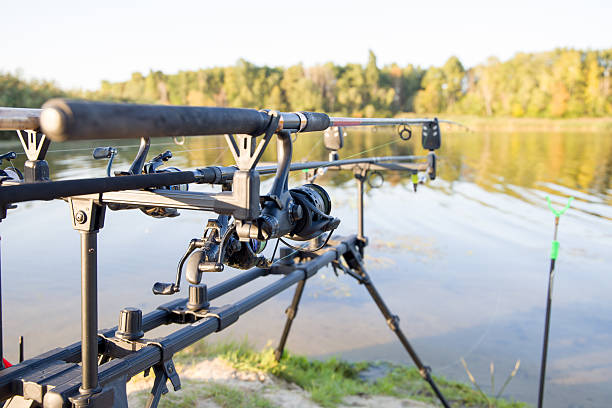istock Carp spinning reel angling rods on a rod pod. Selective focus. 2234878151