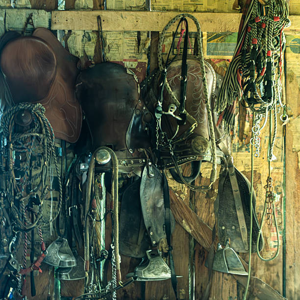 istock Equestrian gear and tack for riding and handling horses 2234878657