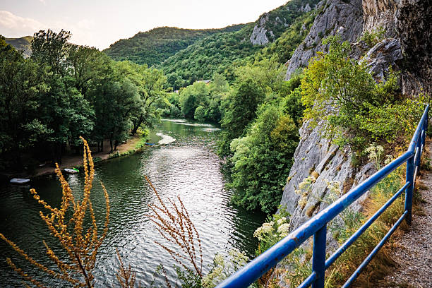 View on the River Running Trough Forrest