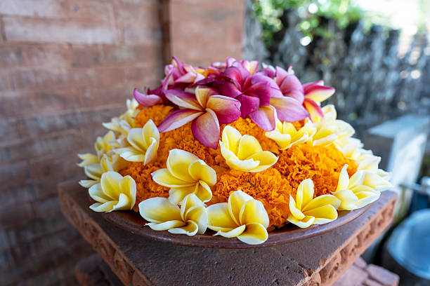 Close up of Bali offering of beautiful vibrant fresh flowers.