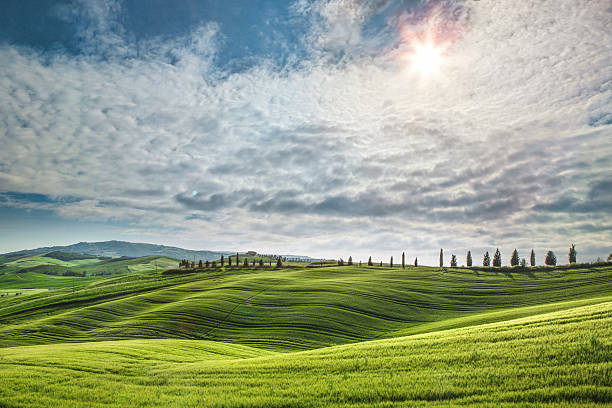 istock Tuscan rolling hills with wheat fields and cypress trees, Italy, agriculture, cultivation 2234884886