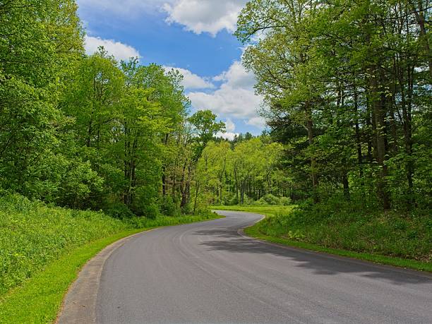 Springtime curvy road through western Pennsylvania.