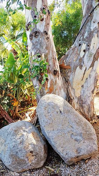 istock Large stone mass among the greenery in the garden 2234887417