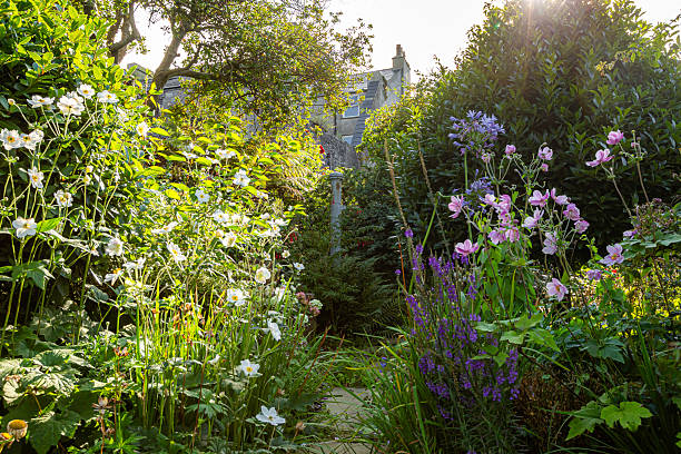 istock Garden with a path and flowers Isle Of Man - 2234889247