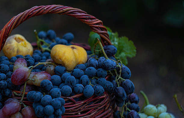 Colorful vegetables and fruits