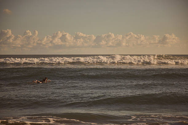 A person paddles out on a surfboard in the ocean, with tranquil waves under a sunny sky. The breathtaking scene captures the adventurous spirit and the harmony of humans with nature.