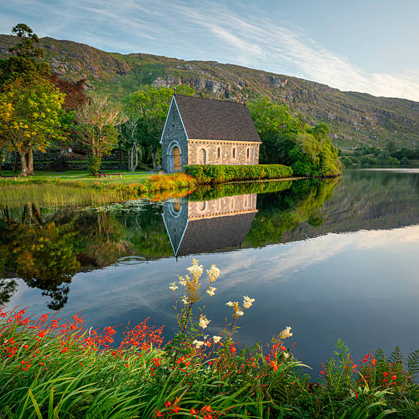 Killarney, Ireland - Oct 9, 2024: Evening time Ross Castle inside the Killarney National Park, a natural park known for its breathtaking landscapes.