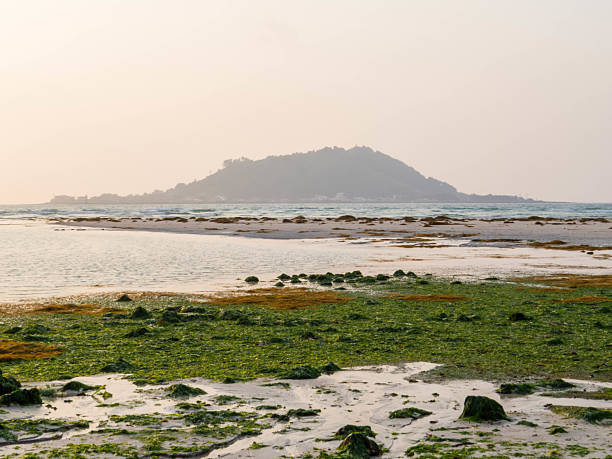 Aamzing sunset  on Hyeopiae Beach. In Jeju Island, South Korea