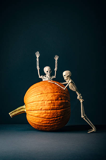 Playful Halloween skeletons getting excited as the rolled a pumpkin on it's side.