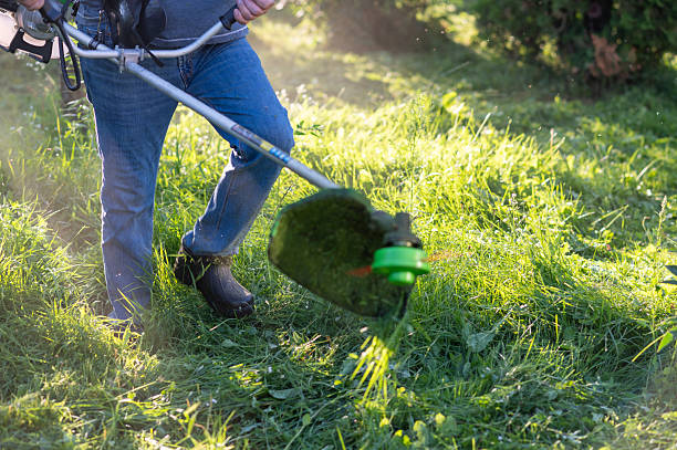istock Man trimming tall grass in backyard garden with string trimmer in summer 2234907128