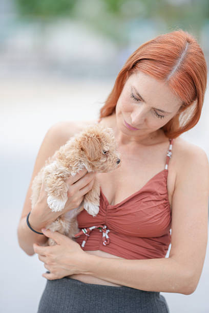 istock A woman is holding a small dog 2234915371