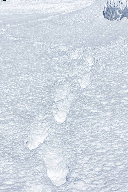 istock Footprints in Deep Snow, Shiga Kogen, Japan 2234915958