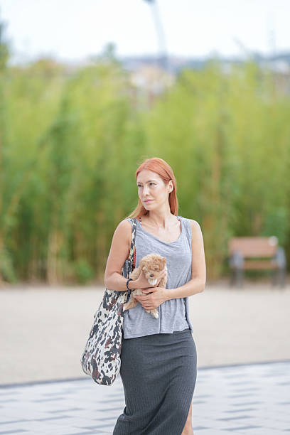 istock A woman is walking with a dog and a bag 2234917873