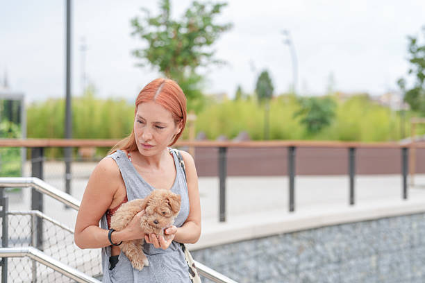 A woman holding a small dog on a sidewalk