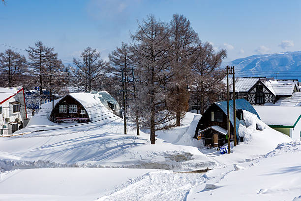 Winter landscape with snow-covered houses and trees in a Japanese ski resort town