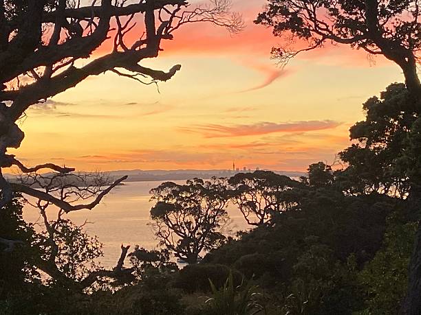 istock Motuihe Island 2234923658