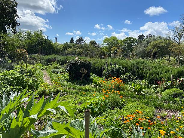 istock Sanctuary Mahi Whenua Gardens 2234923772