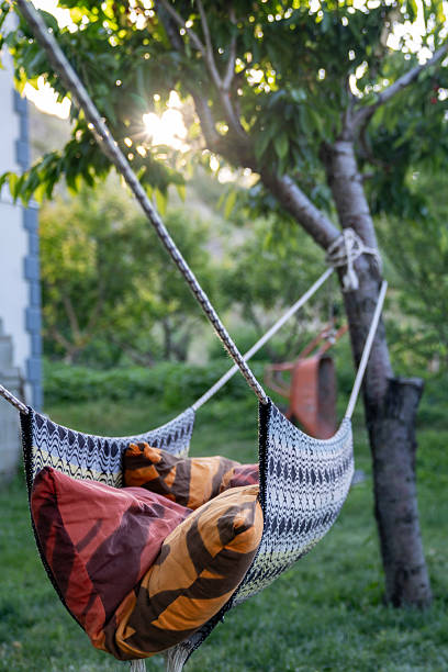 istock Photo of Hammock In The Backyard 2234926891