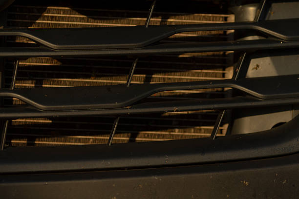 This closeup image of a cars front grille reveals an accumulation of dust and debris within the slats, underscoring the importance of routine maintenance and care required for vehicles