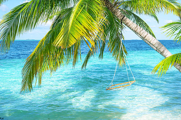 istock Swing hanging from coconut palm tree on tropical beach by the turquoise sea 2234936285