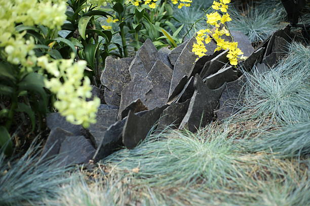 Sharp decorative rocks surrounded by green grass and bright yellow flowers in a landscaped garden.