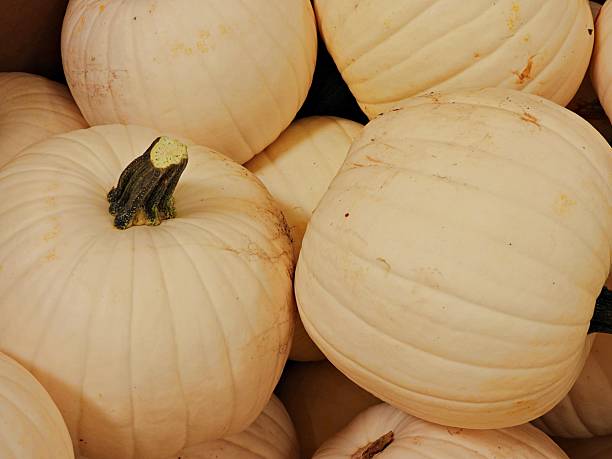White pumpkins are edible and can be used in place of orange pumpkins in various recipes, such as baking, roasting, and pureeing for soups and pasta.