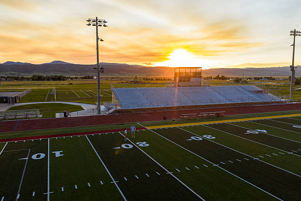 Aerial image of a typical synthetic turf football field 50 yard line in white.