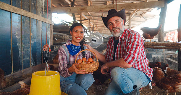 istock Two farmer worker holding eggs in basket at poultry farm. 2234953868