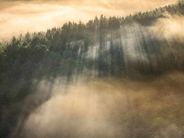 fog over the Liptov village of Velke Borov before sunrise in Slovakia