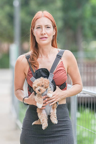 istock A woman is walking with a small dog in a harness 2234958841