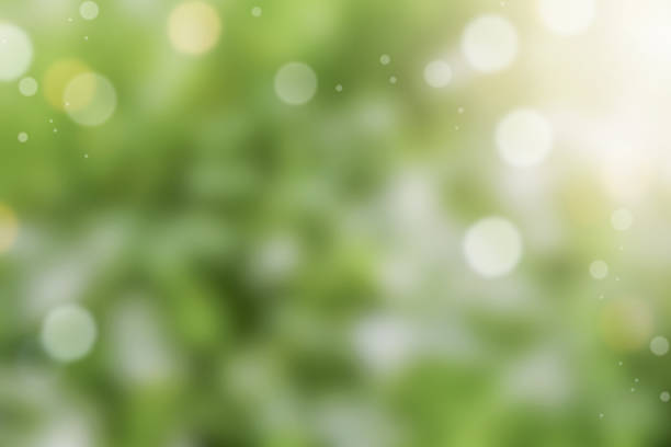 istock Green blurred background with lights deactivated or bokeh. Natural green background. Element for design. 2234966498