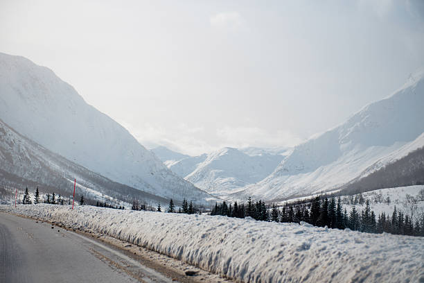 Snow-covered mountain landscape with a road and pine trees. Lofoten islands, Norway